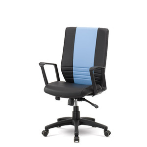EZ 루카스-600BM 루카스시리즈 공부용의자 높이조절 의자 가성비의자