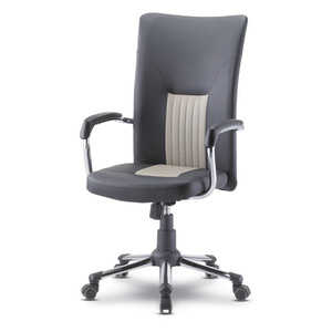 EZ R3 (대) 사무용의자 R3시리즈 디자인의자 편안한 의자 요추의자